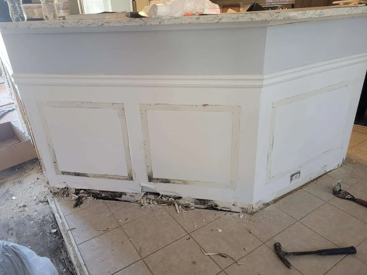 Water damage and mold on kitchen during Mold Inspection & Testing in Texas City